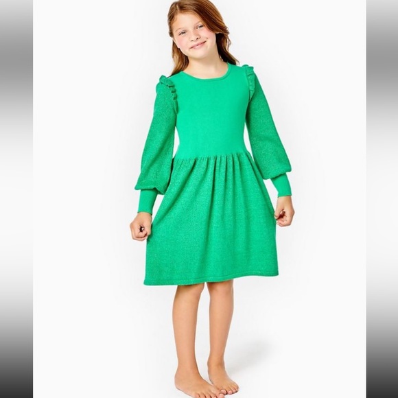 🆕Lilly Pulitzer Caila sweater dress Botanical Green Metal Sz Large(8-10) I1 - Picture 3 of 8